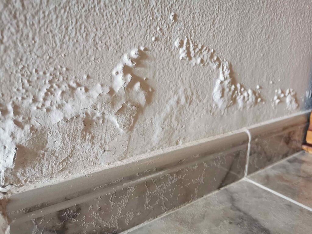 Humedades en casa, por filtracion en paredes